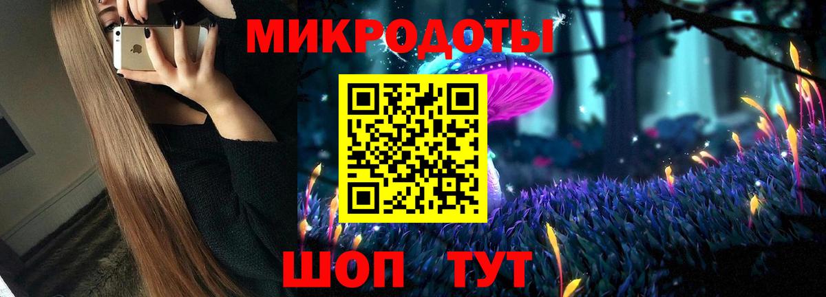 Псилоцибиновые грибы Psilocybine cubensis Нальчик